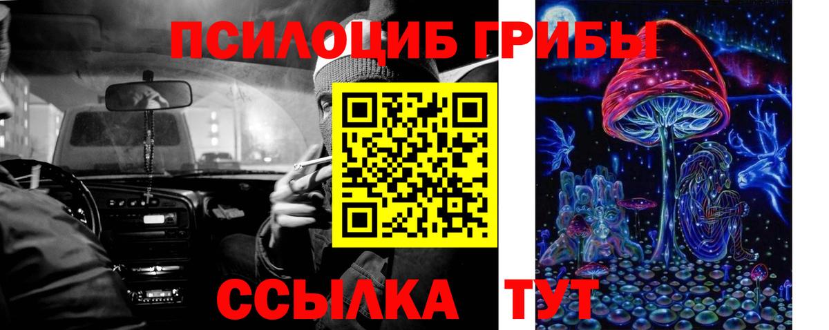 Галлюциногенные грибы Psilocybine cubensis Коряжма