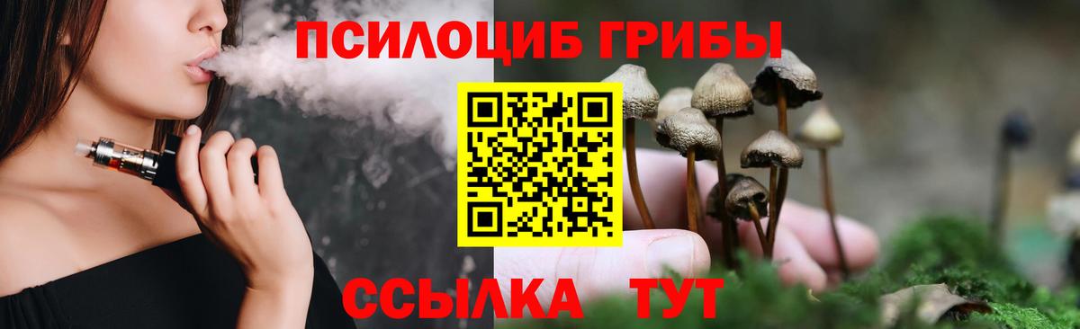 Коряжма  Галлюциногенные грибы Psilocybine cubensis  Вход с VPN  Псилоцибиновые грибы Cubensis 